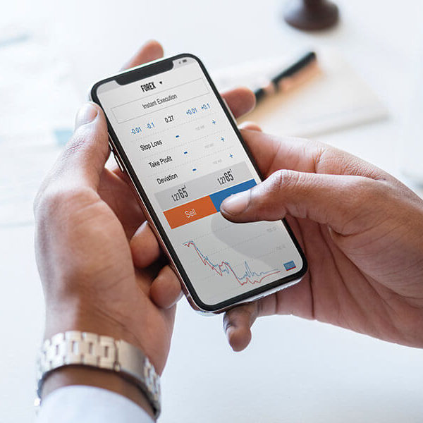 WebSupreme team at work